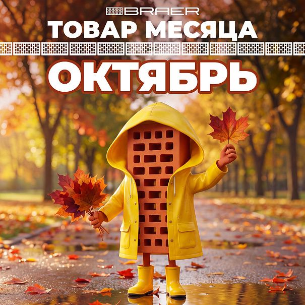 Акция BRAER товар месяца